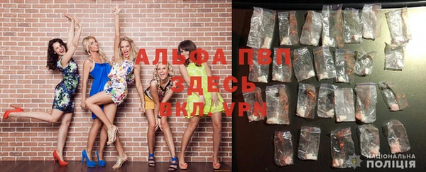 ПСИЛОЦИБИНОВЫЕ ГРИБЫ Медвежьегорск