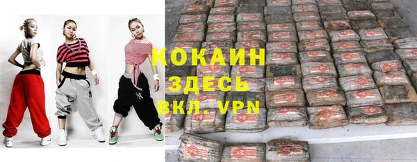 ПСИЛОЦИБИНОВЫЕ ГРИБЫ Медвежьегорск