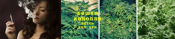 ПСИЛОЦИБИНОВЫЕ ГРИБЫ Абдулино