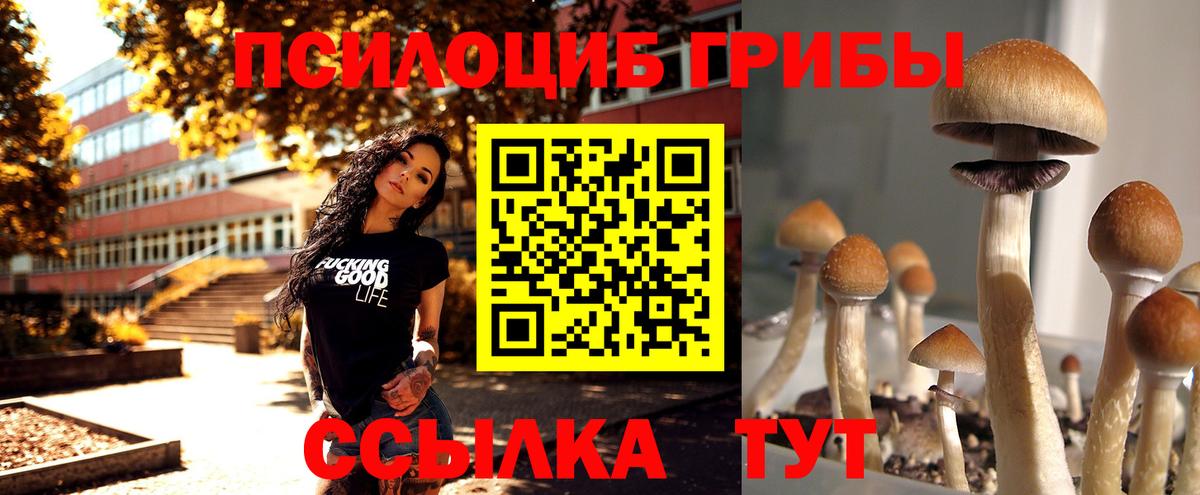 МЕФ Севастополь